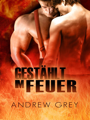 Gestählt im Feuer - ebook